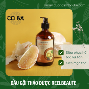 Dầu gội thảo dược